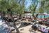Cozy Luxury Apartment, Neos Marmaras, Sithonia