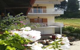 Stelios Apartments, Agia Paraskevi, Kassandra