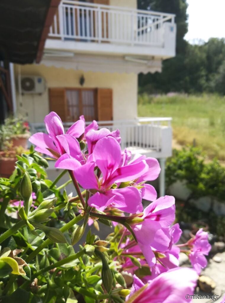 Stelios Apartments, Agia Paraskevi, Kassandra