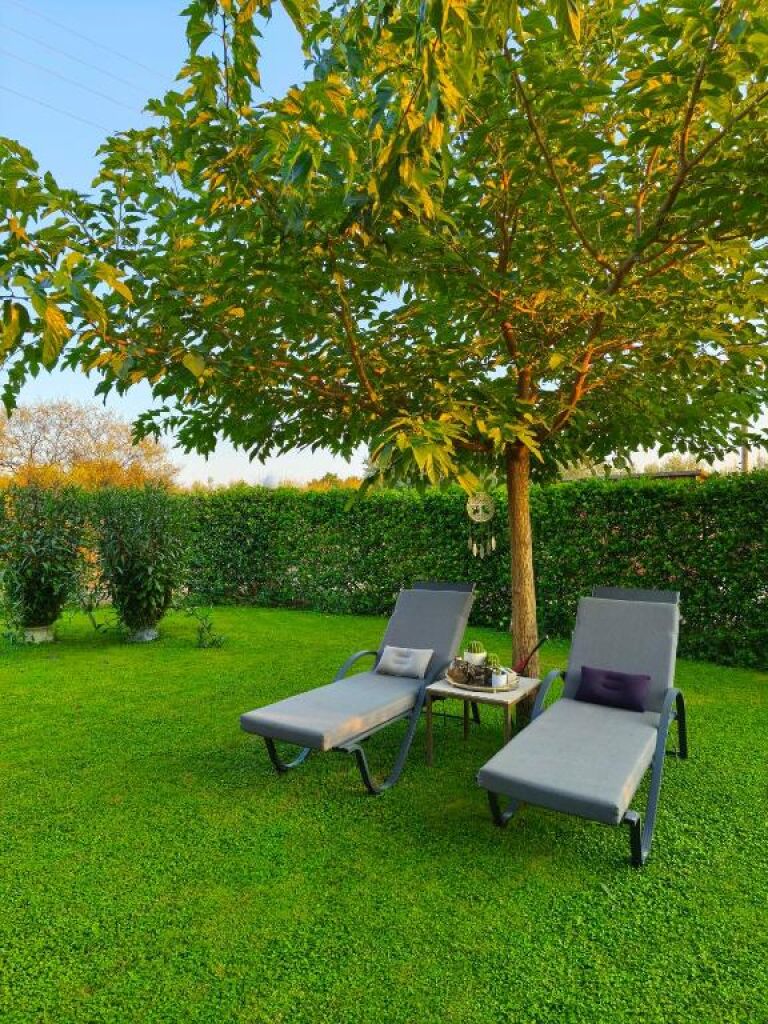 The Olive Oasis Apartment, Ormylia, Sithonia