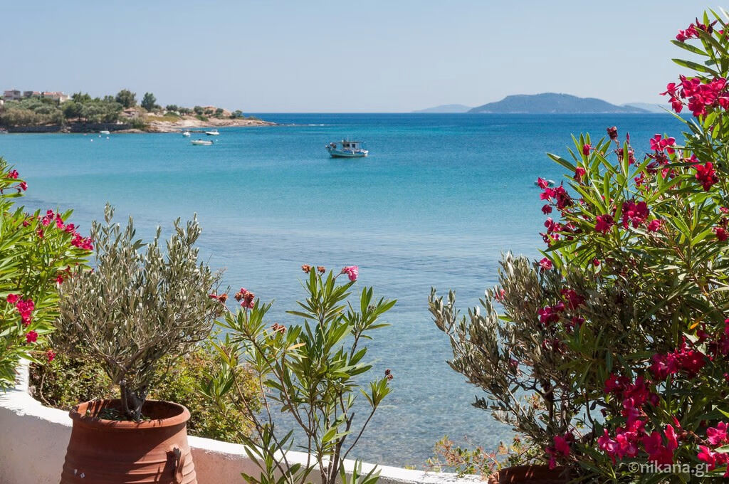 Nadja Villa, Elia Beach, Sithonia