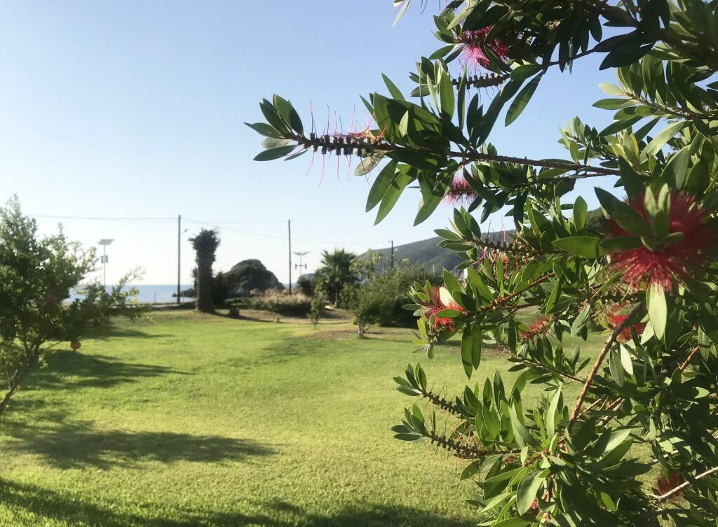 Nisaki Bay Bliss House, Kalamitsi, Sithonia