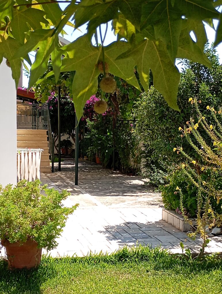 Splantza Apartments, Ammoudia, Epirus