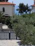 Olive House, Elia Beach, Sithonia, No. 101