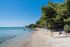 Olive House, Elia Beach, Sithonia, Elia Beach