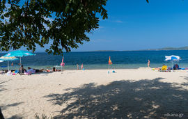 aretes studios toroni (9)