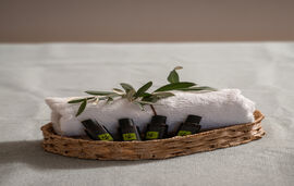 Anthemida Studios and Apartments, Sykia, Sithonia