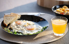 Anthemida Studios and Apartments, Sykia, Sithonia