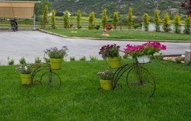 Anthemida Studios and Apartments, Sykia, Sithonia