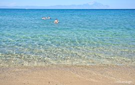 athina dimitris sofia apartments sarti sithonia platania beach 2