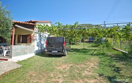 athina dimitris sofia apartments sarti sithonia studio 3