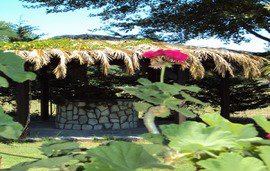 nefeli hotel sykia sithonia halkidiki 2