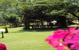 nefeli hotel sykia sithonia halkidiki 3