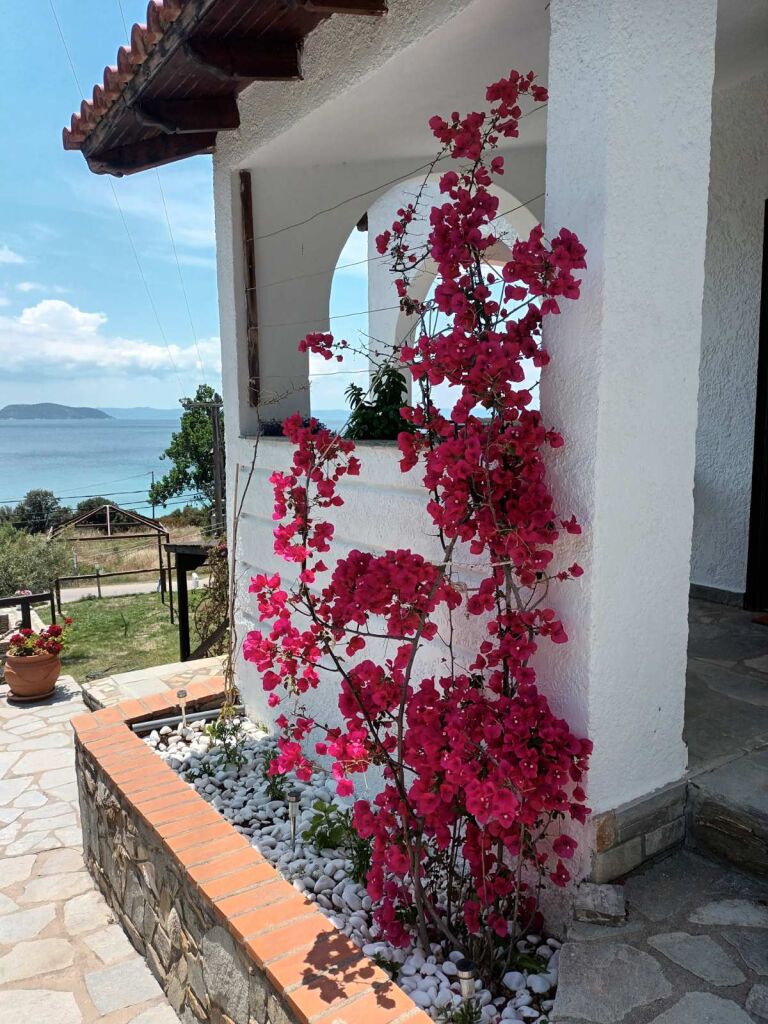 Despina Seaside Apartments, Tripotamos, Sithonia