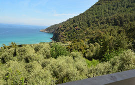 Agatha Paradise Studios, Paradise Beach, Thassos, 3 Bed Studio (No.5)