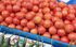Pijace i pijačni dani na Kasandri, Blog, Blog