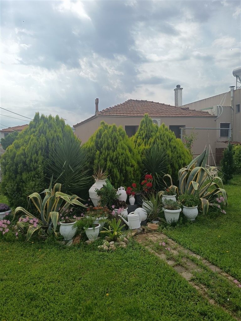 Fotini House, Ormylia, Sithonia