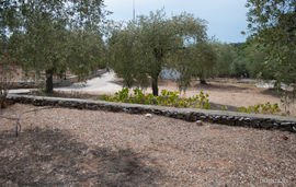 Mathios Cottages, Psili Ammos, Thassos