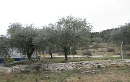 Mathios Cottages, Psili Ammos, Thassos