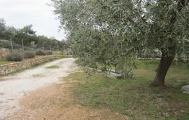 Mathios Cottages, Psili Ammos, Thassos