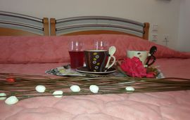 summer dreams hotel polichrono kassandra 21